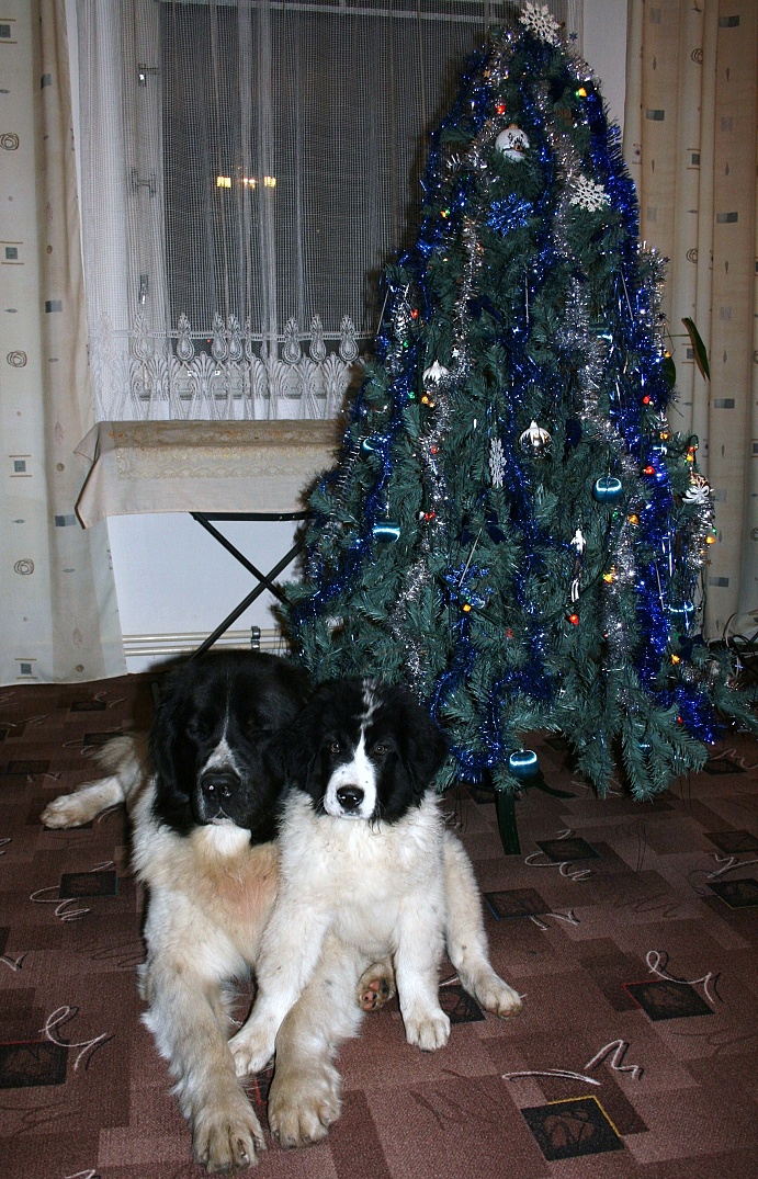 IMG_7958.JPG